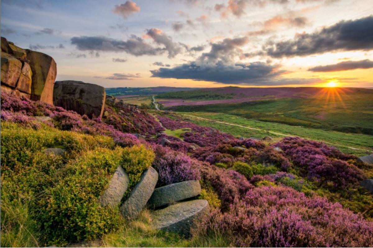 https://sheffieldmetropolitan.azurewebsites.net/media/1426/image8-1024x683.jpg?anchor=center&mode=crop&rnd=131986169010000000&width=1200